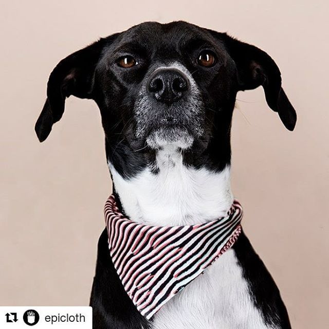 Epicloth just melted our hearts with this handsome boy modeling our Dunes print. Grab yours today <a href="/epicloth/">Epicloth</a> #wearastatement #art #design #printstudio #printdesign #pattern #fashion #patterndesign #streetstyle #silkscarf #epicloth #guavaprintstudio ift.tt/2WtG1vs