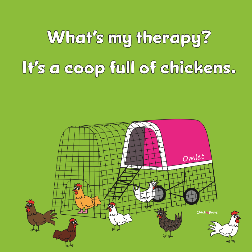 Coop Shopping 101 How To Buy If Youd Rather Not Build Hobby Farms