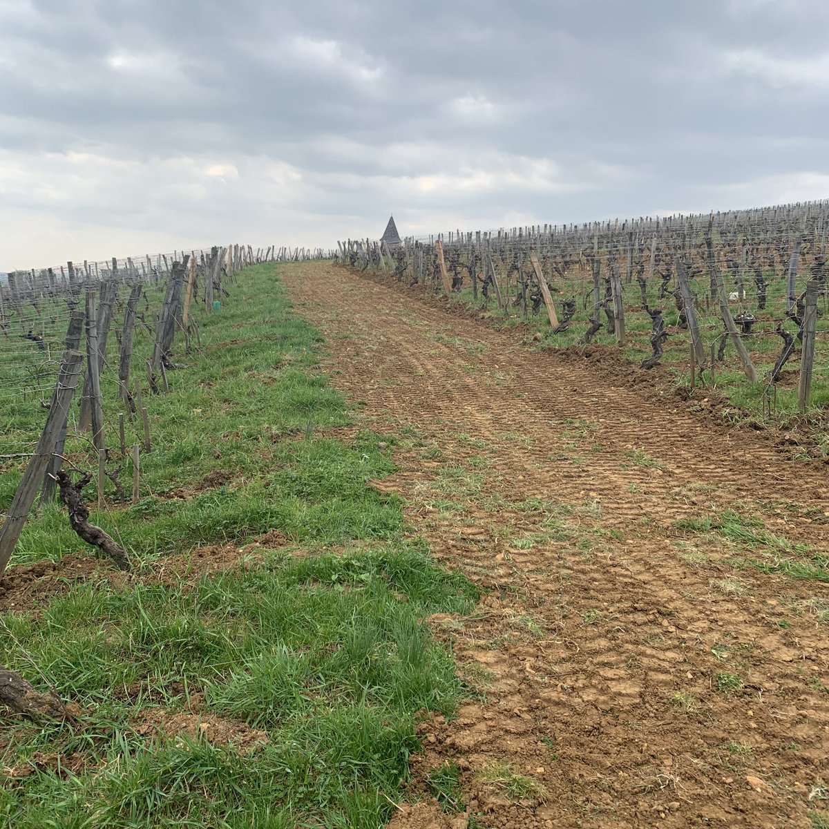 BlindTasters's tweet photo. The soils in Pouilly-Vinzelles are typically richer in iron than those in Pouilly-Fuissé. 'Vinzelles' derives from the Gallo-Roman 'vincella', meaning 'small vineyard'. #Burgundy https://t.co/8XAM7II5MC