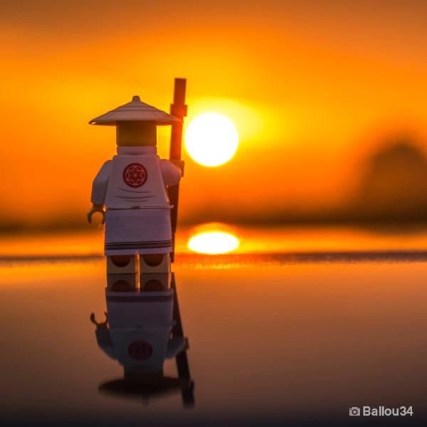 sensei kreese : Latest news, Breaking news headlines | Scoopnest