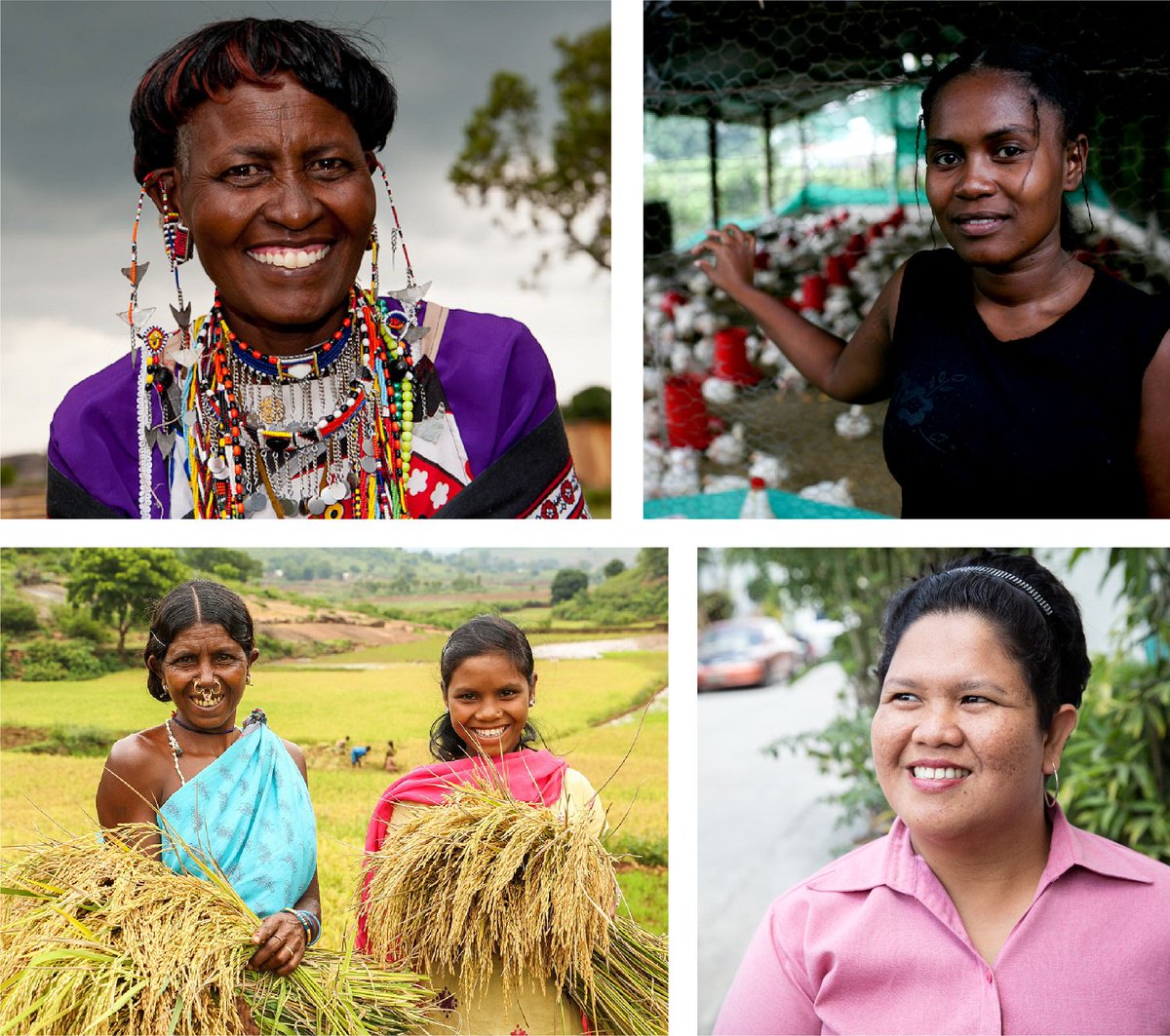 NEW global campaign @Stand4HerLand aims to bridge the gap between law and practice to realize #womensland rights worldwide: wrld.bg/WBRw30oaIBR #Stand4HerLand #LandConf2019 cc @Landesa_Global @HuairouConnect @GLTNnews @Habitat_org @UNHABITAT @landportal