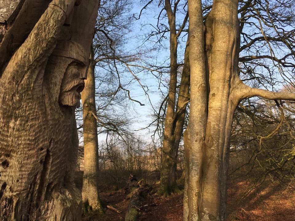 Just a few of the historic gems in Dumfries and Galloway! 

#LoveDandG #SeeSouthScotland #VisitScotland <a href="/VisitScotland/">VisitScotland</a>