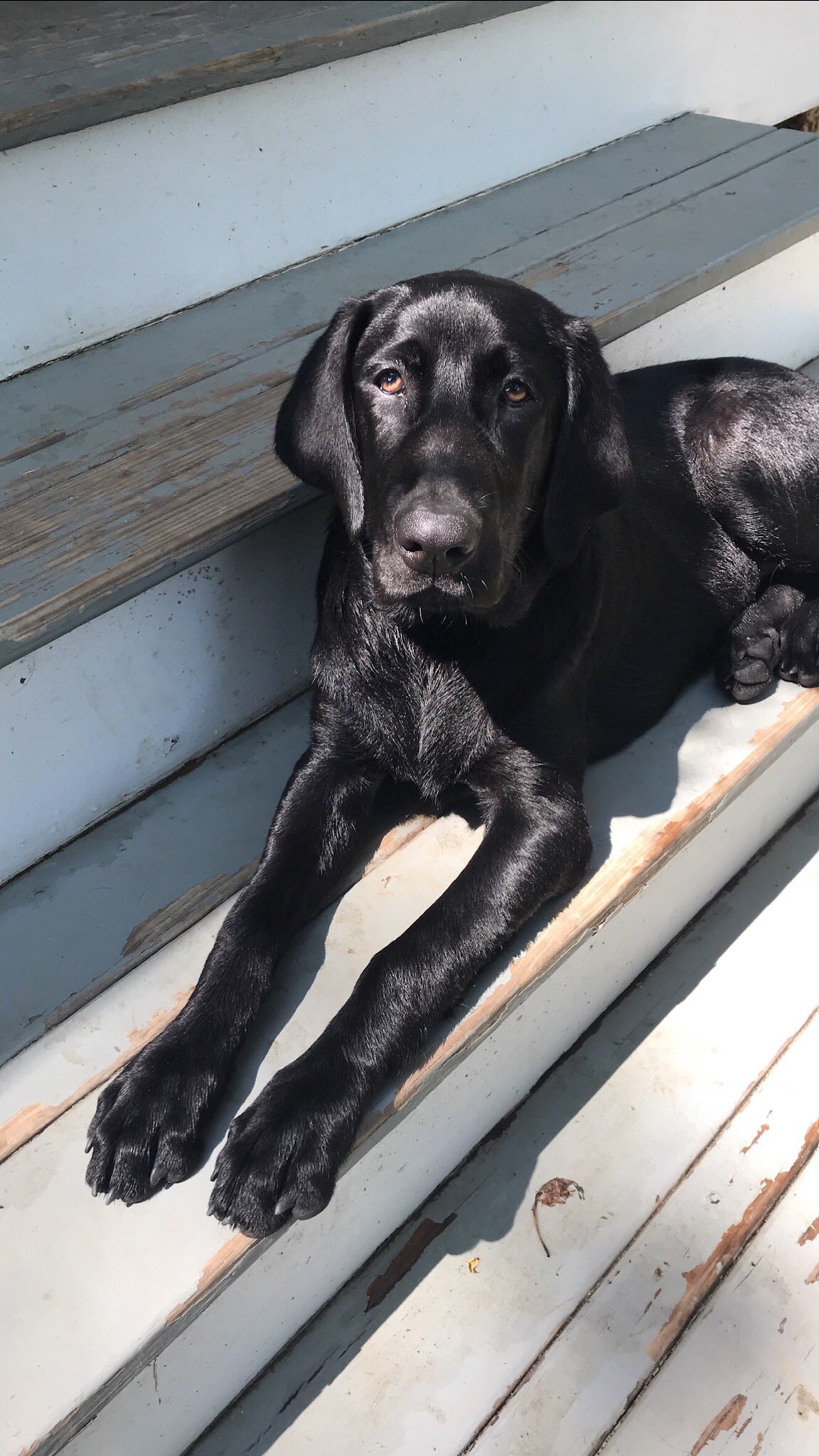 Happy Birthday! I can t wait to see how your first duck season will go 