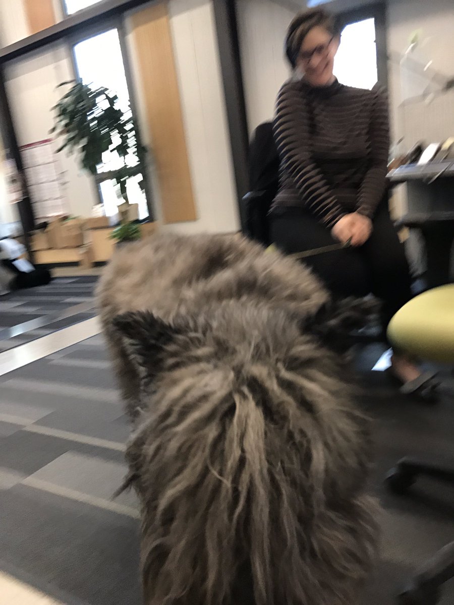 We have a special guest here at #VPR! Oskar the Dog has stopped by to cheer us on! Give now to support our March membership drive at donate.vpr.org! @vprnet