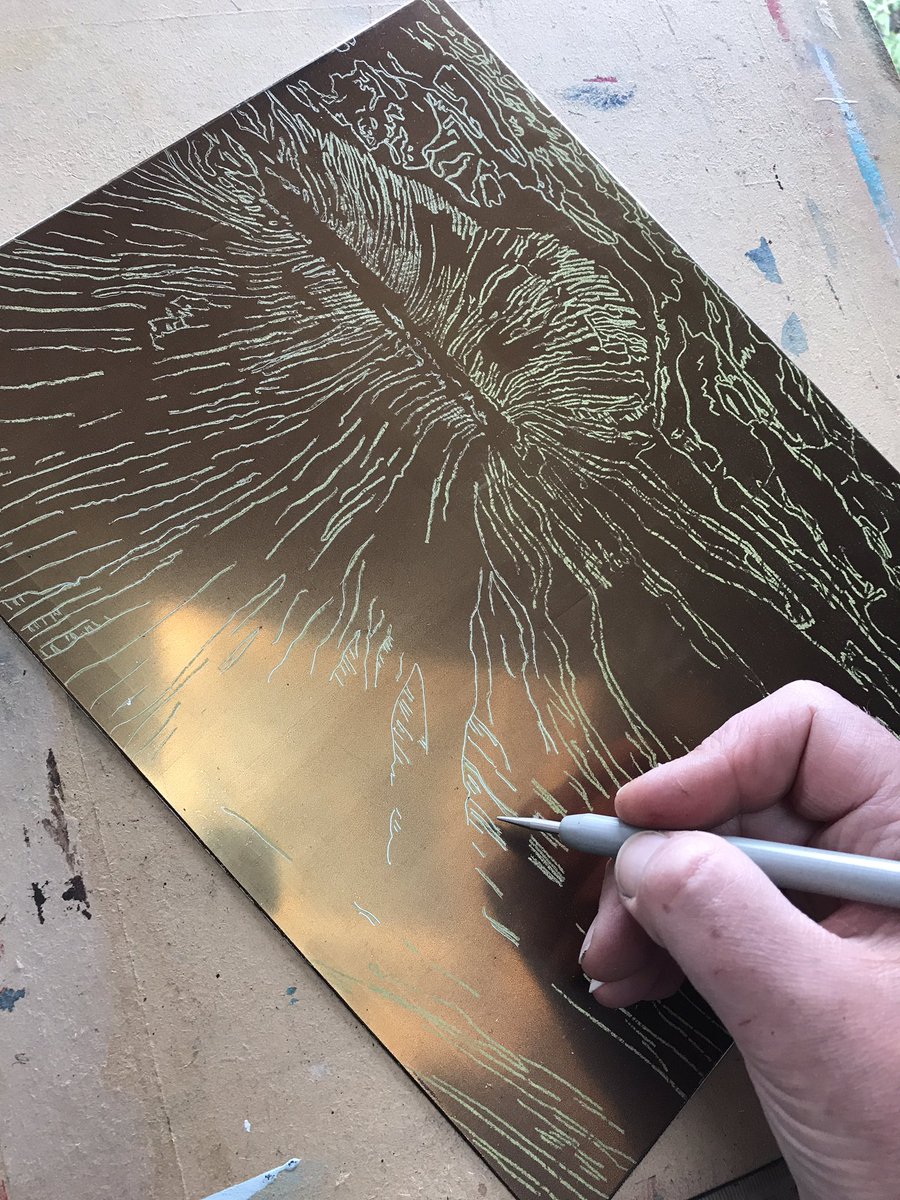 pegmorrisart's tweet image. New etching underway in the studio today. #hardground #drawing #printmaking #etching