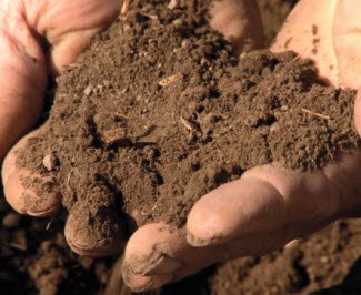 GardenBite's tweet photo. Not a sexy subject but soil structure and drainage is a big deal!  #gardening #mngardening #wigardening #soilshealth #soil #percolationtest https://t.co/FXQCxUE3RF https://t.co/MpqTo61v6N
