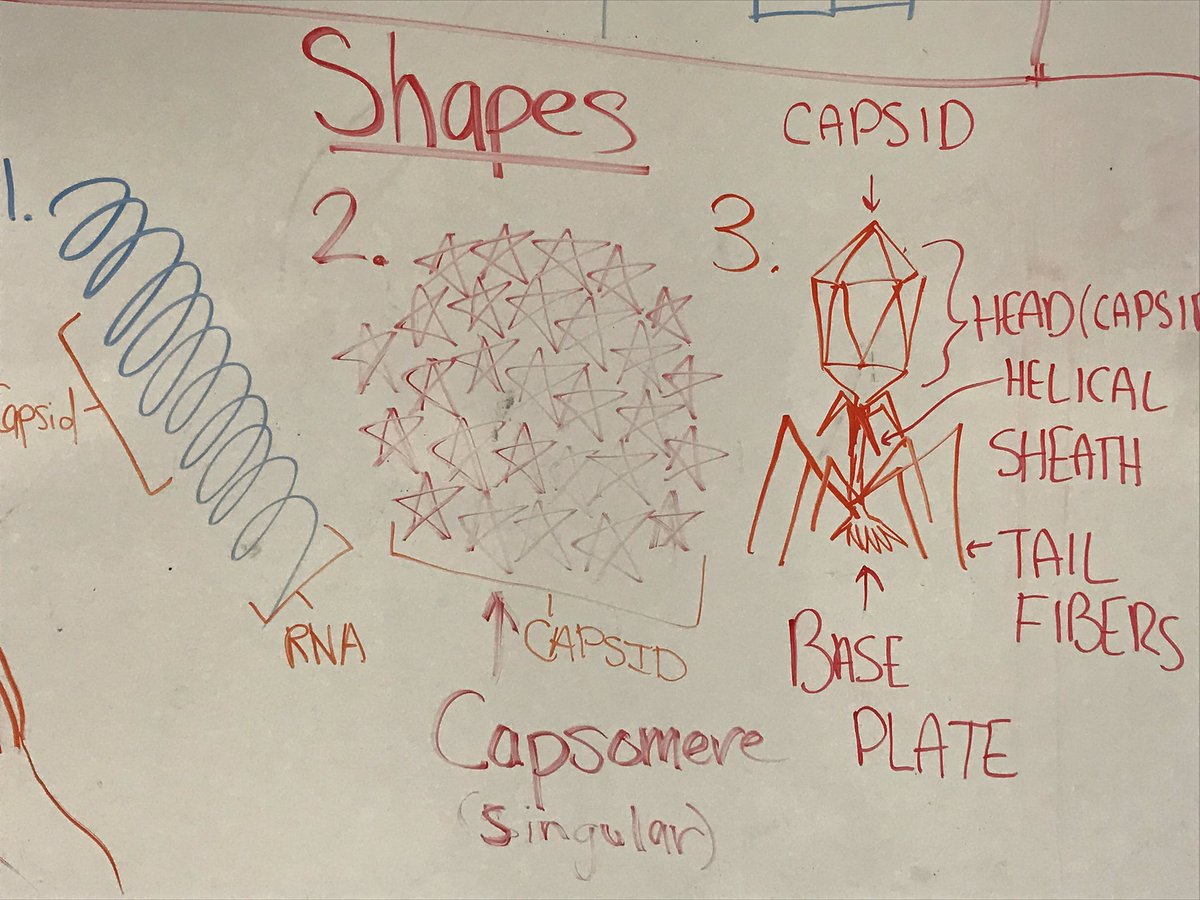 Delphi Alternative tweet media