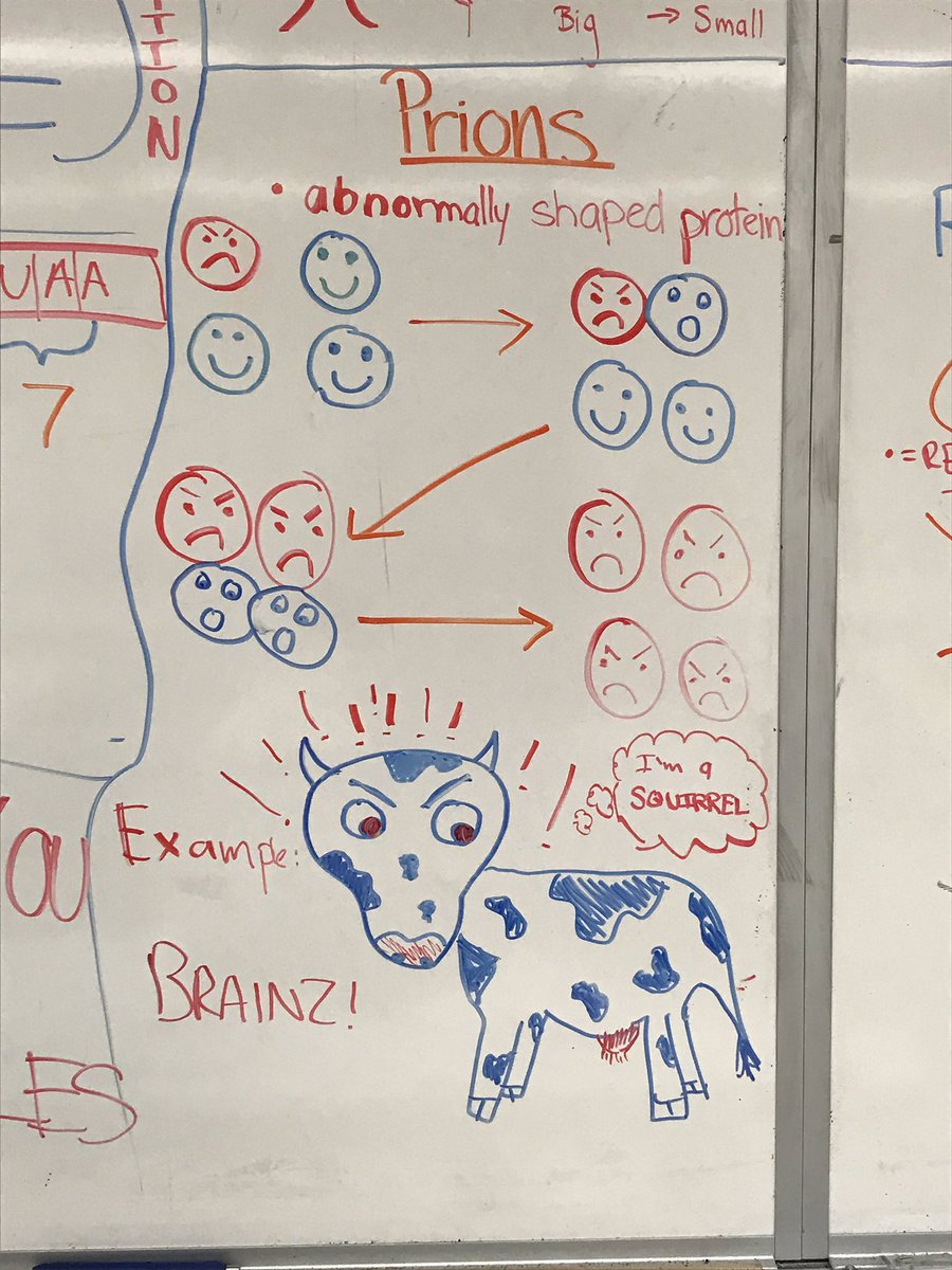 Delphi Alternative tweet media