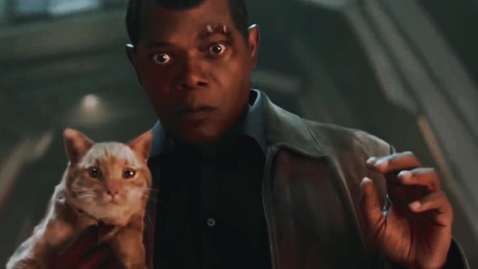 6 Coolest Pets And Animals In the MCU That We All Love For Their Cuteness 345645656, mcu animals