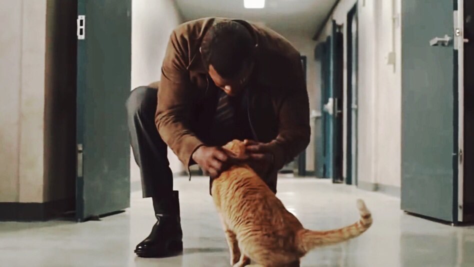 myvillaneve's tweet photo. nick fury and goose are my favorite duo. https://t.co/NUMBU0OU7b