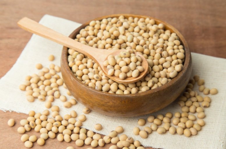 InstitutoHEA's tweet photo. Reporte de Soja desarrollado por nuestros especialistas: 
https://t.co/uXC1q0w31r
#Commodities #soybeans #Soja #market #agro https://t.co/FznPoIoC7L