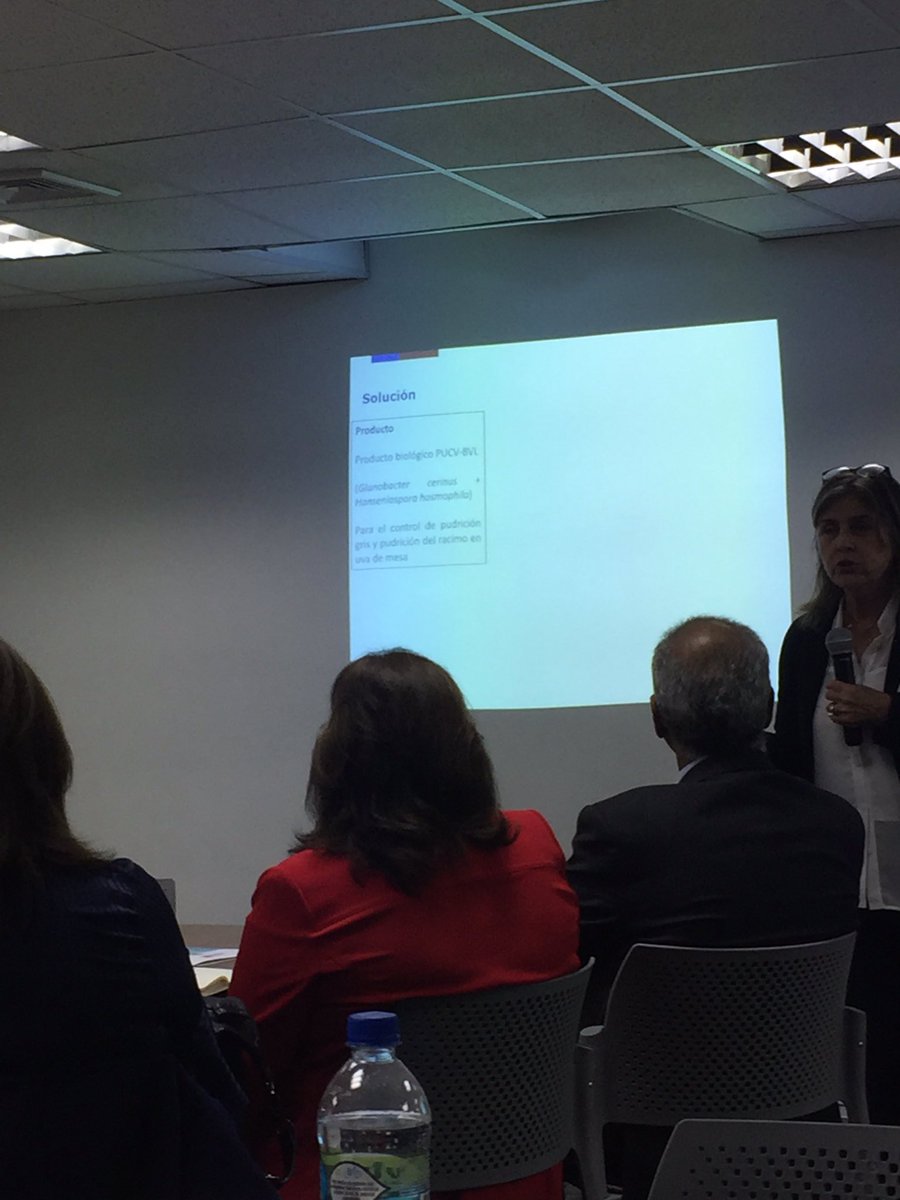 Biopacific's tweet photo. Primer taller de vinculación ciencia y empresa en inocuidad y calidad alimentaria @Biopacific @autonomadechile @iniachile @EvelynSilvaMor2 Apoyando a nuestra investigadora! https://t.co/oOXcmhAPYk