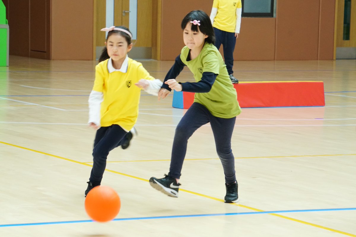 HdQingdao's tweet photo. Proving that team work really does make the dream work, in the first ever Inter-house Benchball Competition. #gogryphon #gocentaur #gophoenix #godragon #hdqingdao https://t.co/zKMfmOAiXc