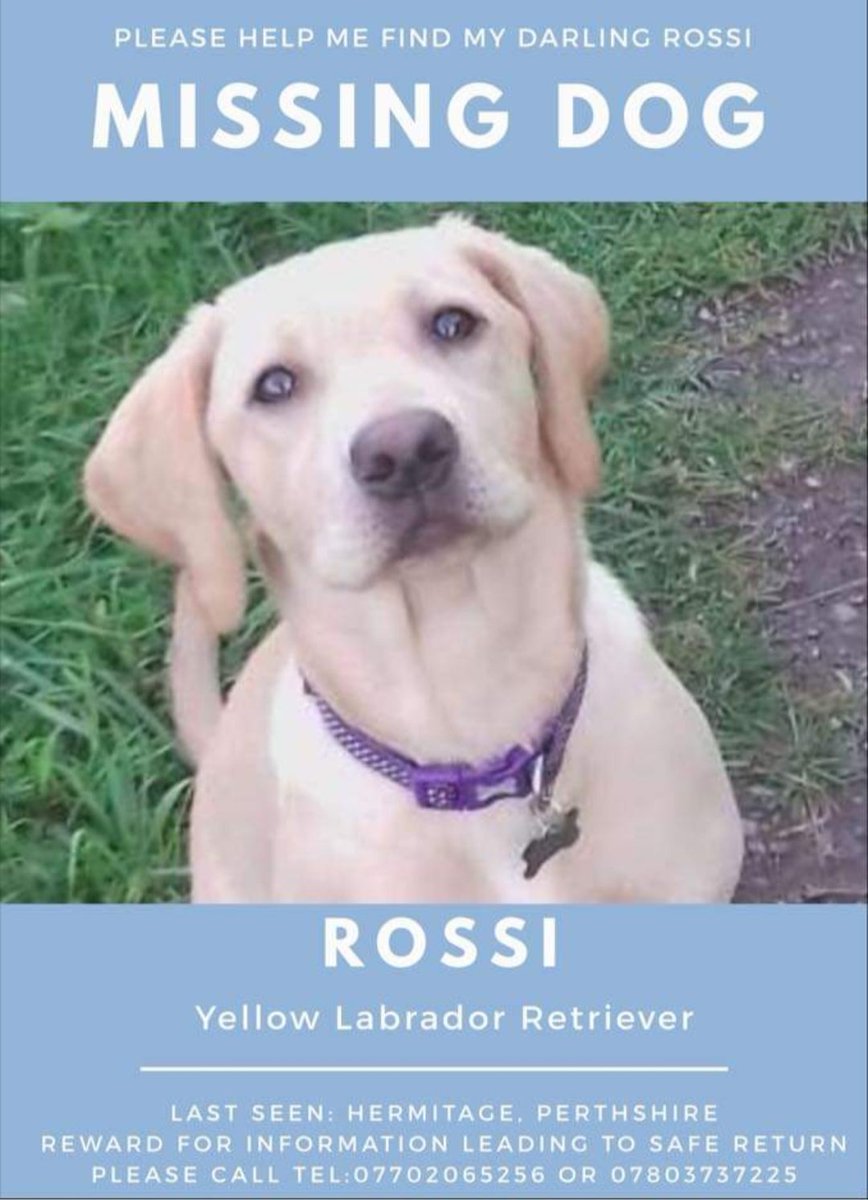 rossi find my model