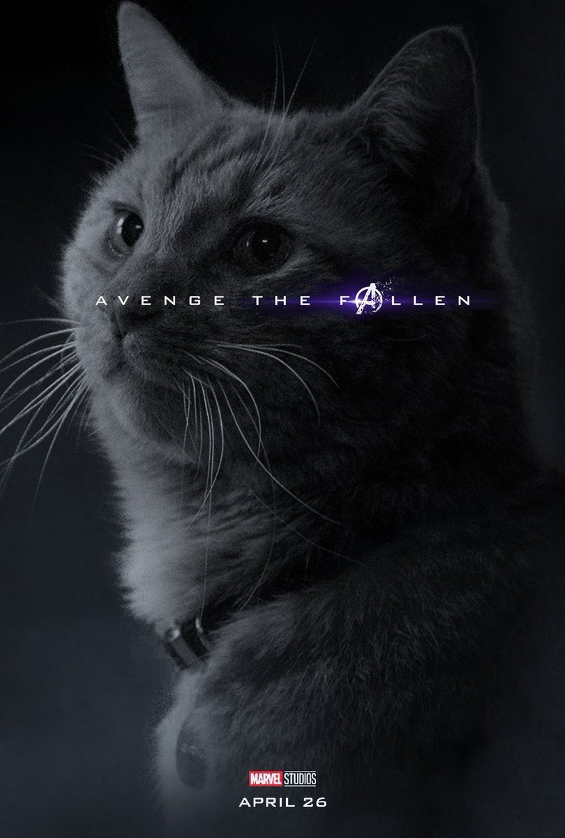 MilPlayeras's tweet photo. Noooo Goose... 
Tu nooooo.... 😿

🌒TAGs🌘 
🌑 #MilPlayeras #TiendaEnLinea #Playeras #Originales #Veracruz #BocaDelRio #Mexico #TheAvengers #Avengers #Vengadores #LosVengadores #Endgame #JuegoFinal #AvengersEndgame #Goose #GooseTheCat #Gooseogato #Cat #Gato #Gatito #Flerken 🌑 https://t.co/gH0ubdvmYT