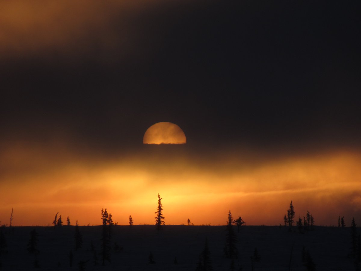 geomatics's tweet photo. Barely below 0°C in Trail Valley. Our final day of #TVCSnow is likely to be accompanied by a record high.
Forest and lake sites today to cap off our survey. https://t.co/UnOqFnDrxw