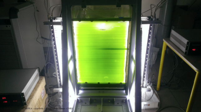 LaboGEPEA's tweet photo. Brevet et Licences: Le @LaboGEPEA #AlgoSolis et @InstitutPascal ont mis au point un photobioréacteur 15-30 fois + efficace que les technologies existantes pour la production de #microalgues #Microalgae. Développement industriel en cours avec 2 entreprises https://t.co/QquZ4Kva3P https://t.co/hy7vxtQJEw
