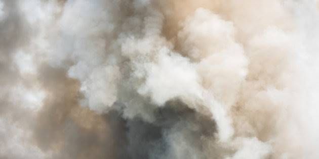 Telos Analisi e Strategie tweet media