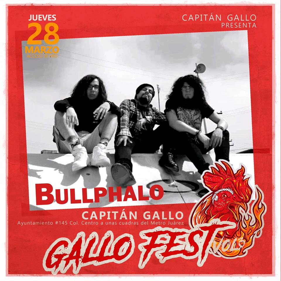 Bullphalo tweet media