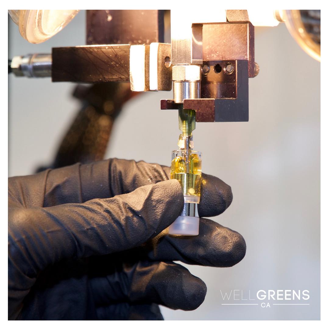 CaWellgreens's tweet photo. #WellgreensCA's pharma-grade critical environments combined with our discipline and proprietary methodologies result in repeatability in manufacturing, precision dosing &amp; purity assurance. These foundations of our organization ultimately deliver trusted 
&amp; safe products #cannabis https://t.co/LjMLr9TbF6