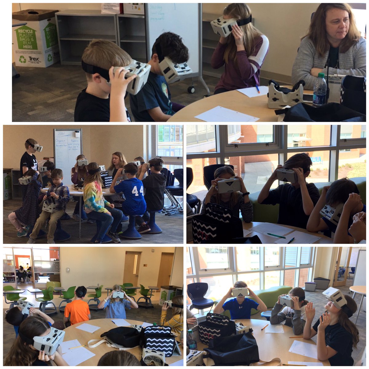 Google expedition virtual reality activity to identify and explain traits of organisms that allow them to survive.