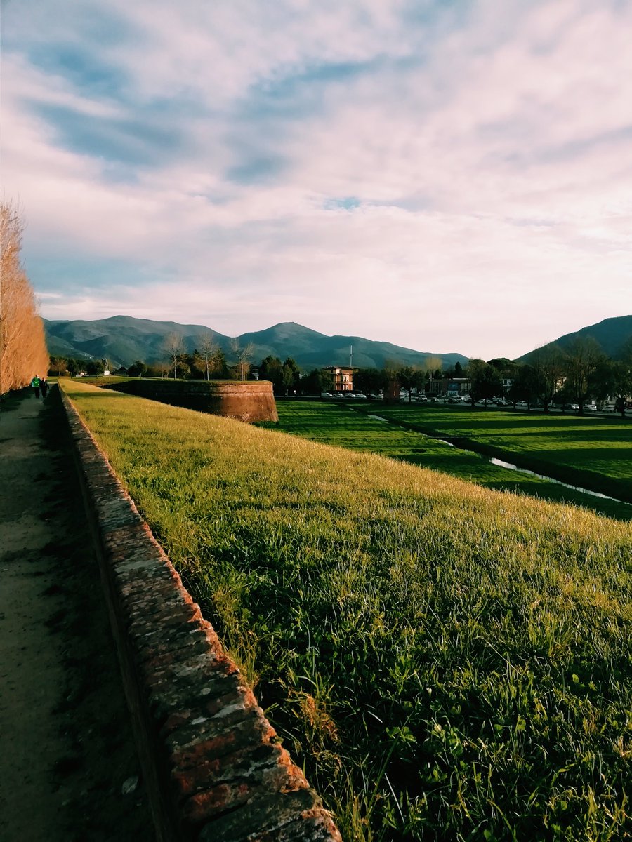 Crescere Viaggiando tweet media