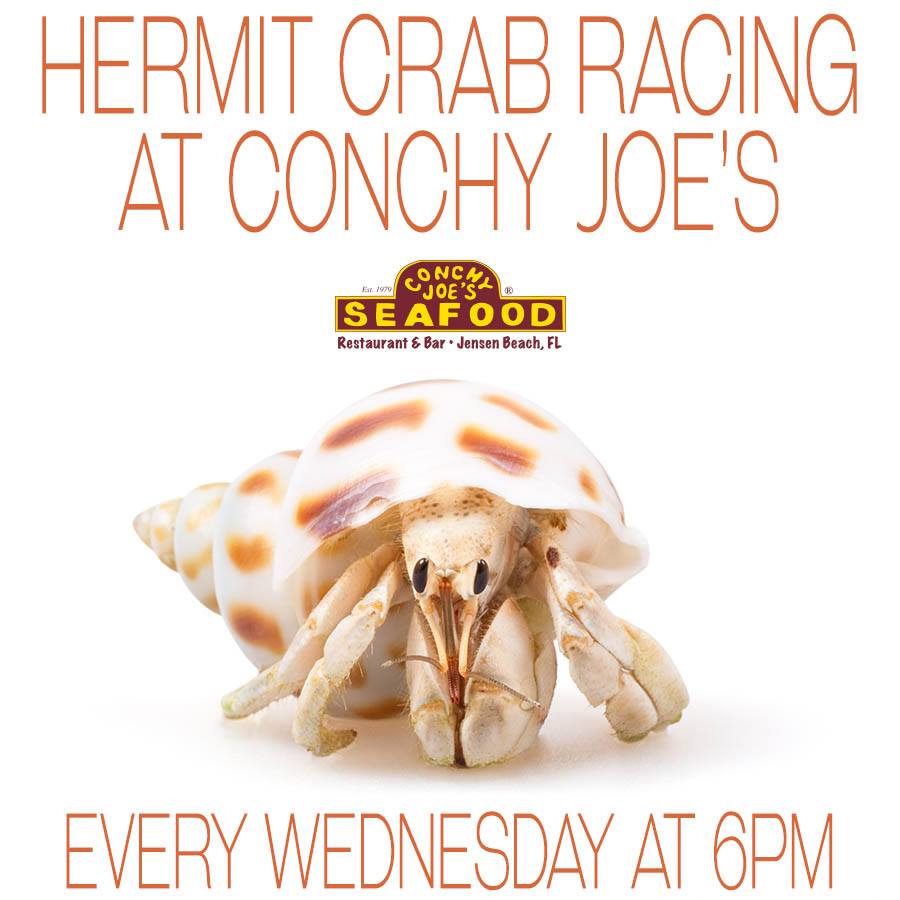 Don't be late! #JensenBeach #CrabRacing #ConchyJoe #TreasureCoast