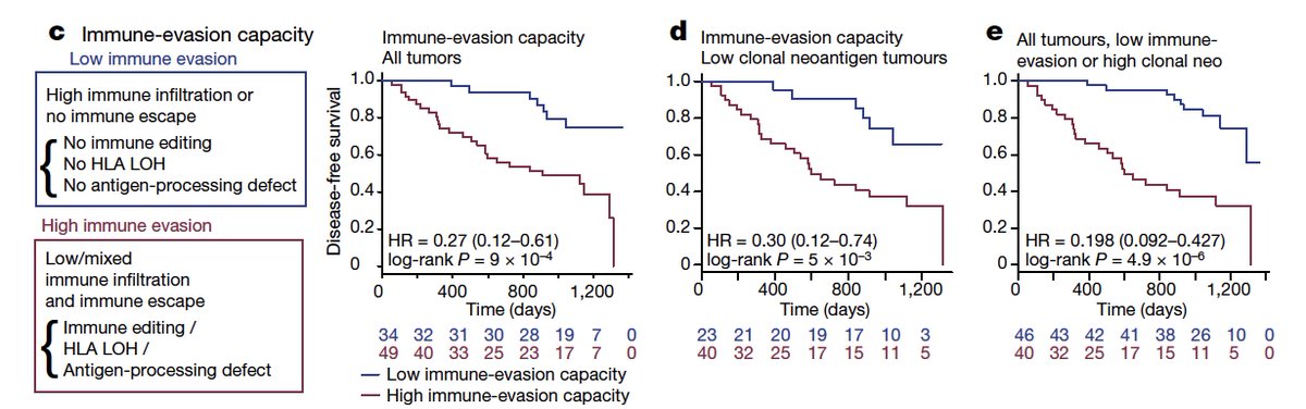 Eric Topol (@erictopol) on Twitter photo The neoantigens in #cancer are like Harry Houdini, known for sensational escape acts. In this report, establishing their link to poor outcomes in tumor evolution nature.com/articles/s4158…
<a href="/Nature/">nature</a> by <a href="/CharlesSwanton/">Charles Swanton</a> <a href="/NickyMcGranahan/">Nicholas McGranahan</a> #TRACERx <a href="/uclcancer/">UCL Cancer Institute</a> <a href="/TheCrick/">The Francis Crick Institute</a> and collaborators The neoantigens in #cancer are like Harry Houdini, known for sensational escape acts. In this report, establishing their link to poor outcomes in tumor evolution nature.com/articles/s4158…
<a href="/Nature/">nature</a> by <a href="/CharlesSwanton/">Charles Swanton</a> <a href="/NickyMcGranahan/">Nicholas McGranahan</a> #TRACERx <a href="/uclcancer/">UCL Cancer Institute</a> <a href="/TheCrick/">The Francis Crick Institute</a> and collaborators