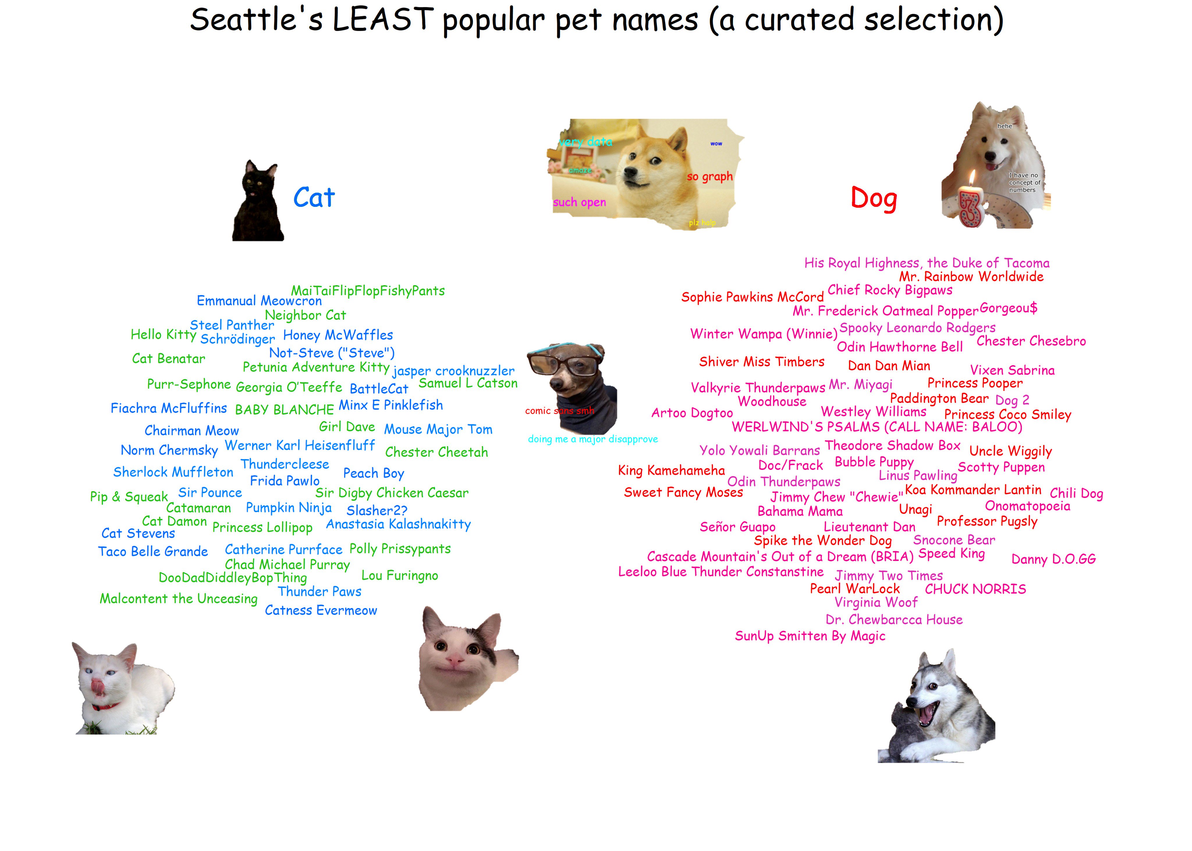 Will Chase on Twitter "My TidyTuesday submission, showing some of the