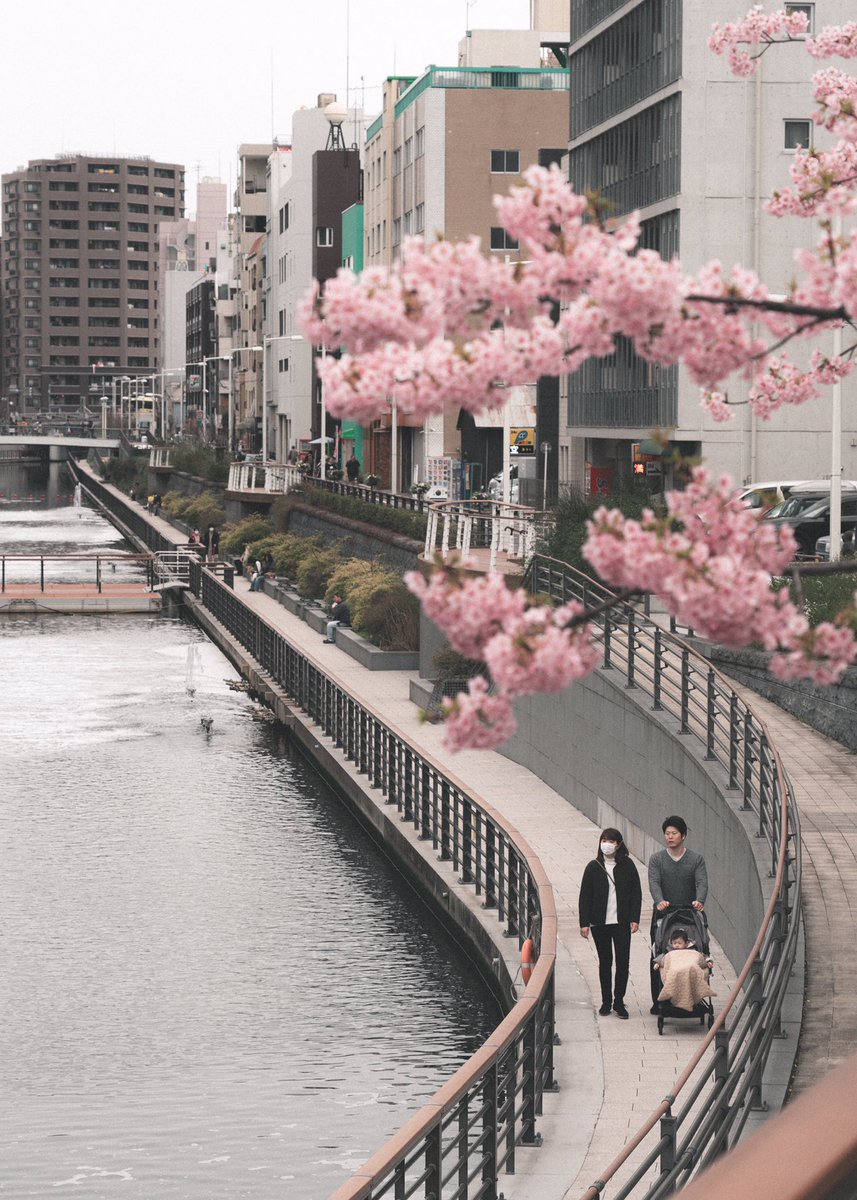 📷: <a href="/ssssshinchan1/">ssssshinchan</a>