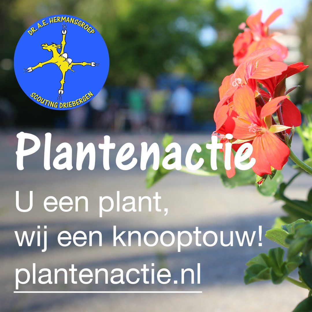 Steun Scouting Driebergen en koop een bloemetje! Tot en met 6 april komen we langs de deur, koop online uw planten op plantenactie.nl of bij een van de voorverkoop punten: @ Lekker3bergen, Boekhandel Jacques Baas, of bakkerij Wim Aalbertsen.