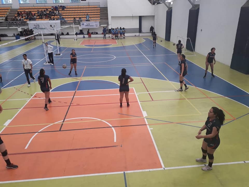 UPQoficial's tweet photo. ¡#Cardenales inician actividades en #INTERUPOLS!
Los equipos de voleibol femenil y varonil, así como futbol varonil están listos para la competencia.
En camino están los representantivos de cultura, así como el resto de los equipos deportivos. ¡Orgullosamente #HechoEnUPQ! https://t.co/ue0GeZXx0w