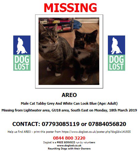 DogLostUK's tweet photo. #LOST #CAT AREO
Male Tabby Grey &amp; White can look blue Adult
#Missing from #Lightwater #Surrey #GU18 
Monday 18th March 2019 
#LostCat #ScanMe @SAMPAuk_ @VetsGetScanning  
https://t.co/HvXATfwGpd https://t.co/5m18EELjKV