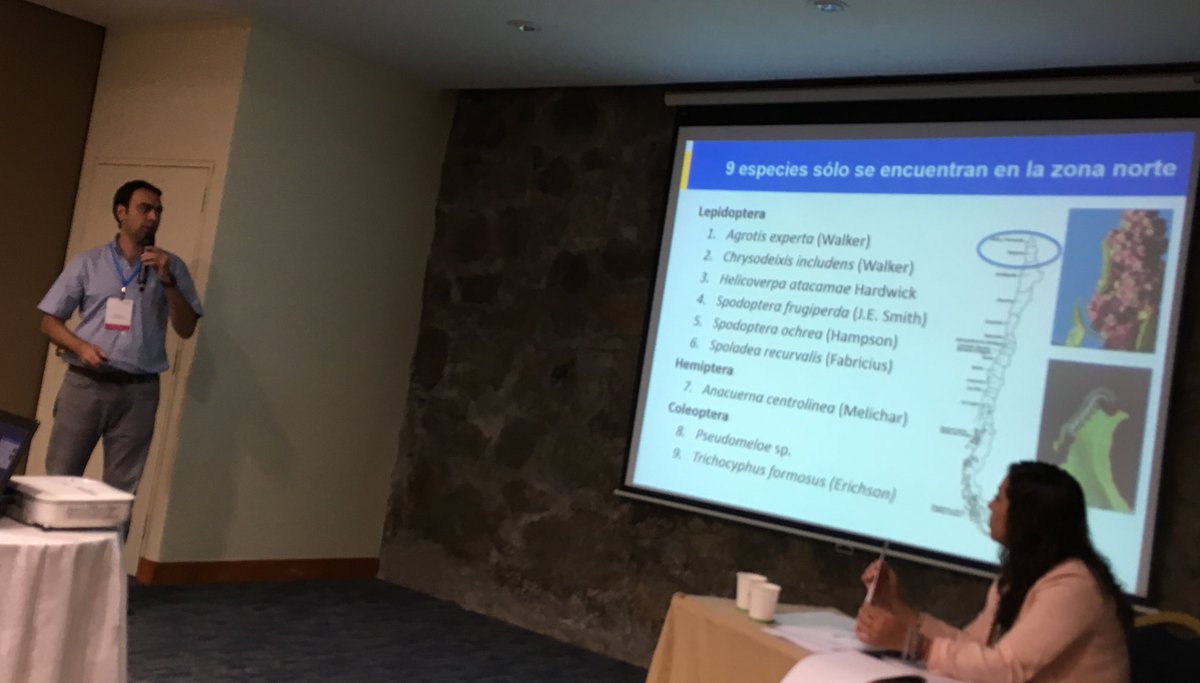 AgronomiaUC's tweet photo. Usted no lo diga: la quínua NO es un cereal! | En el cierre del #CongresoMundialQuinua2019  los profesores @francfue @IMRosales y @RChorbadjian  presentan sus investigaciones sobre esta amarantácea típica de la Cordillera de Los Ándes 🏔 https://t.co/KAjWtEYypC