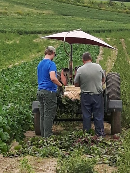 Johnston Farm and Garden tweet media