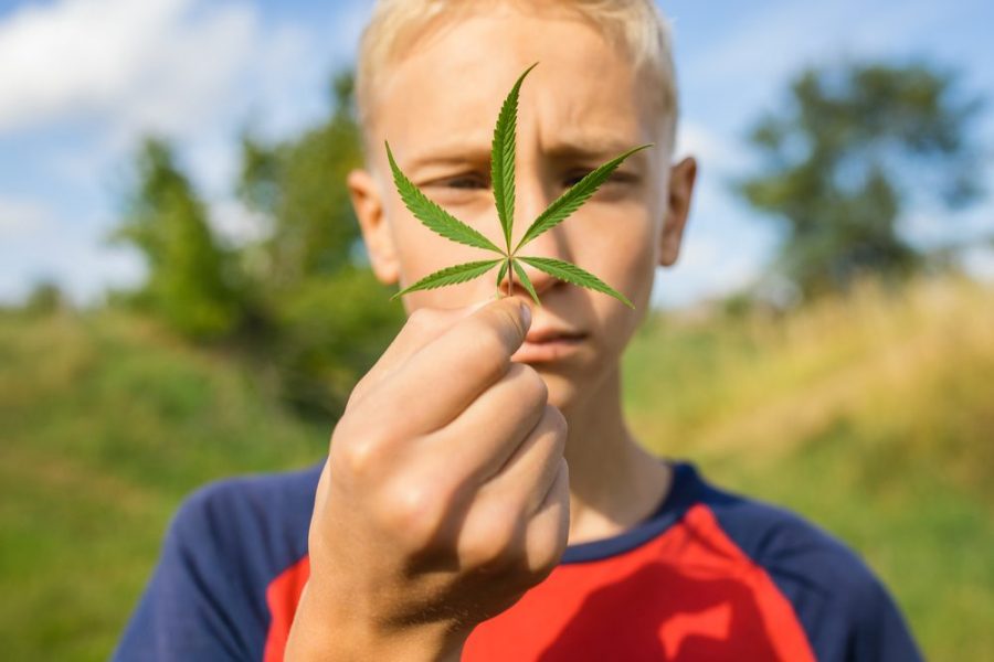 RxLeafMD's tweet photo. Should the legal age for cannabis access be dropped from 21 to 16? https://t.co/kLoSaEHyYh #somethingtothinkabout @ageofmajority #adulting #legalizeit #prohibition #rxleafmd https://t.co/UExJXZfAEX