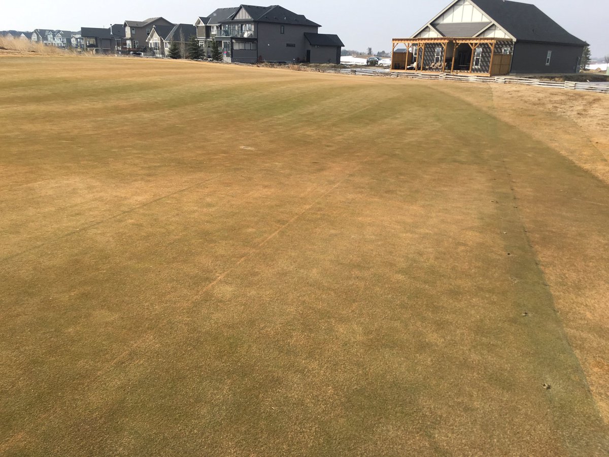 MuirfieldLakes's tweet photo. So... this happened over the weekend!  Won't be long now.
.
.
.
.
.
#golfhereforever #muirfieldlakes #lakesofmuirfield #strathmore #chestermere #golfgreen #signsofspring #yycgolf #golfyyc #golflifestyle #lifeisbetterwithgolf https://t.co/wa35DXyOOR