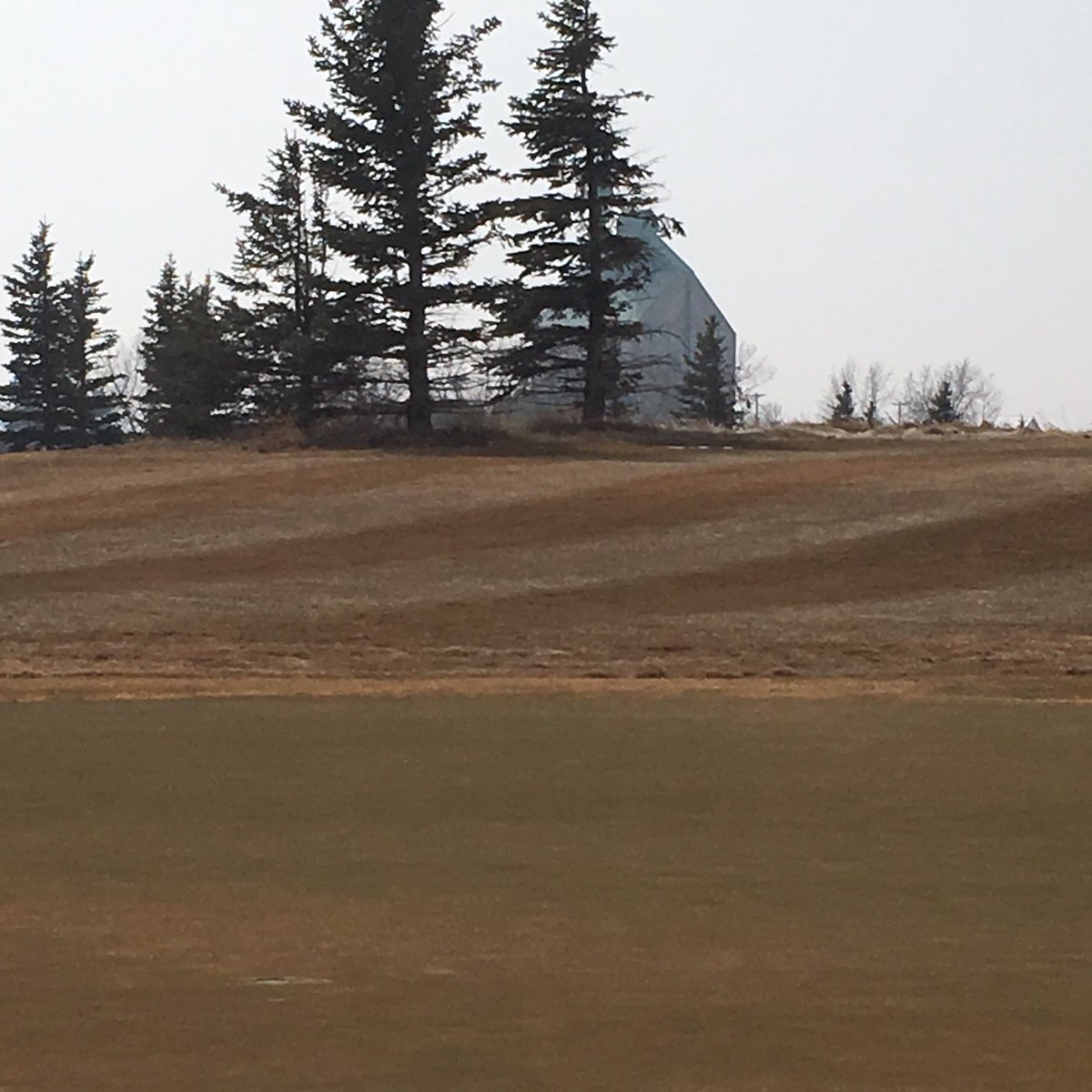 MuirfieldLakes's tweet photo. So... this happened over the weekend!  Won't be long now.
.
.
.
.
.
#golfhereforever #muirfieldlakes #lakesofmuirfield #strathmore #chestermere #golfgreen #signsofspring #yycgolf #golfyyc #golflifestyle #lifeisbetterwithgolf https://t.co/wa35DXyOOR