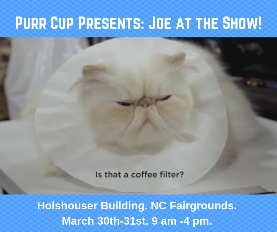 PurrCupCafe's tweet photo. Big weekend coming up! See you there 😉 #raleighnc #catshow https://t.co/ycbkAj1TLu