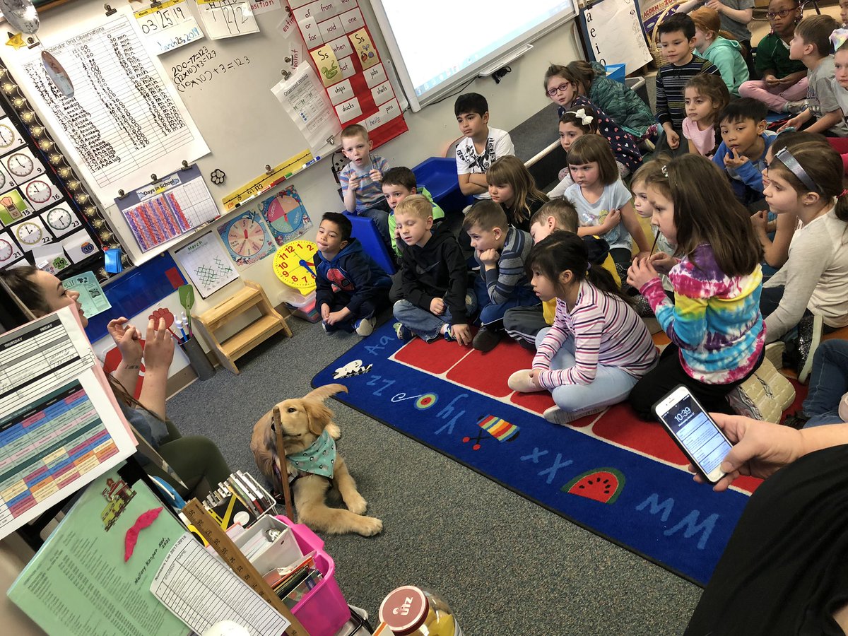 Sofie and Percy the Service Dog came in to be our special guest readers for March is reading month! #SimondsSuperstars #WeAreLamphere