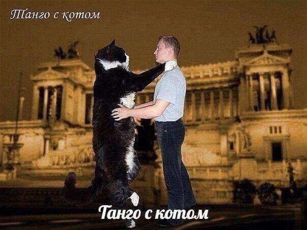 D2rDHZyW0AUnurx.jpg:large