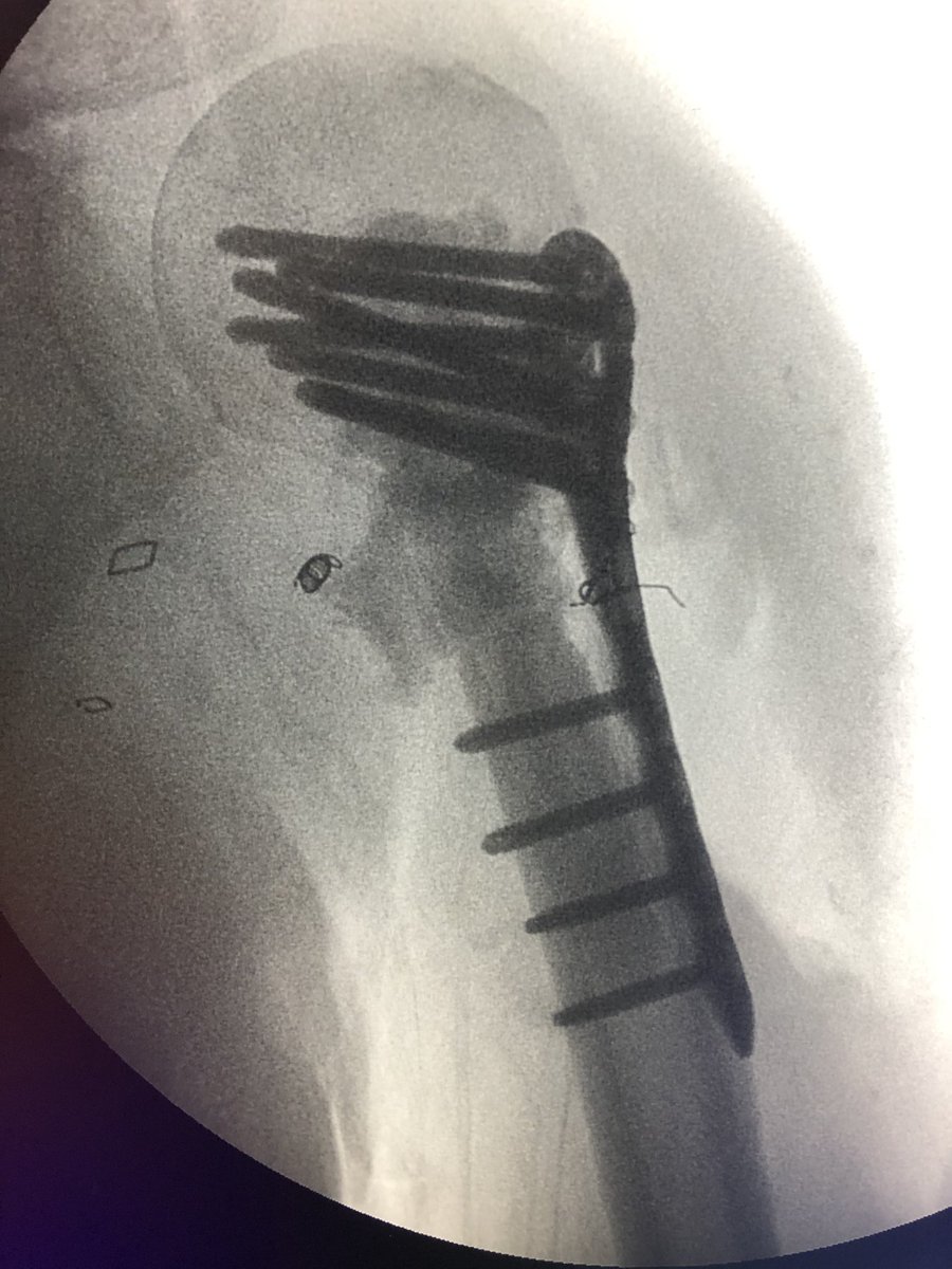 Adie Friedman tweet media