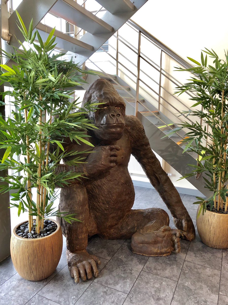 Stanley was very impressed with our install today, he feels much more at home! 🦍🍃 #gorilla #artificial #fakingit #plants #green