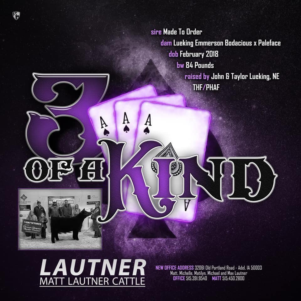 mattlautner's tweet photo. Thank You Cattle Visions For Your Large Order On MLC Three Of A Kind Today #CattleVisions #MLC
-
#NewIn2019
Name: Three Of A Kind
Sire: Made 2 Order (Deceased)
Dam: Lueking Emmerson Donor | Purchased At MLC In 2012
Raised By Taylor Lueking
Matt Lautner Cattle 515.391.9540 https://t.co/XH479MLa06