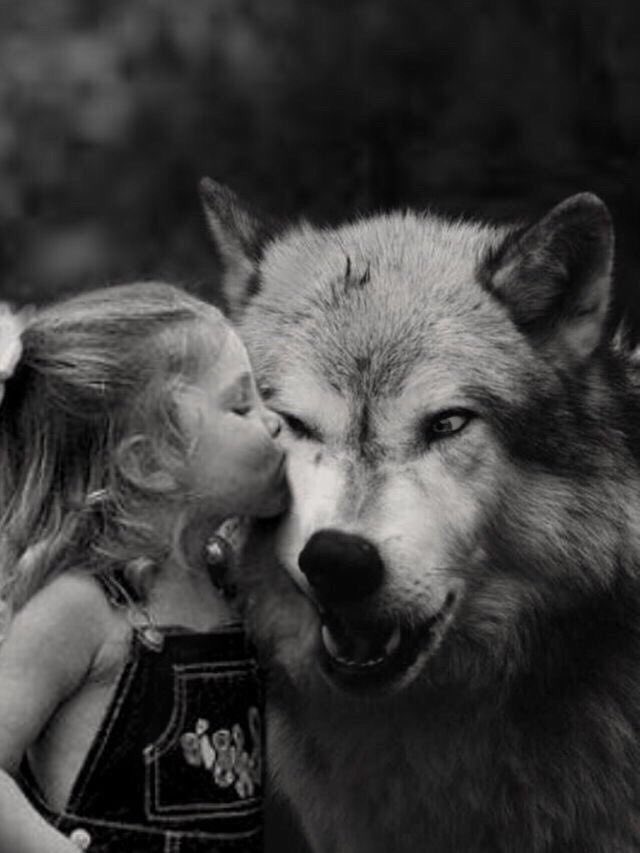 tupensamiento19's tweet photo. Todos llevamos dentro una insospechada fuerza, que emerge cuando la vida nos pone a prueba.
#IsabelAllende 
#BuenosDiasATodos 🖤
#FelizMiercoles ☀️ https://t.co/vwcrgHgQEN