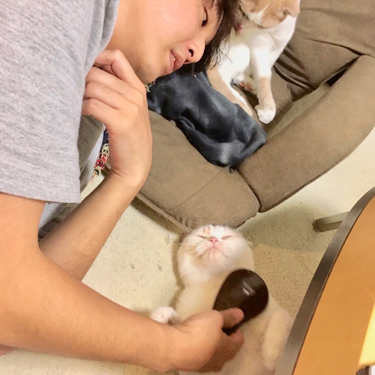 P_PONG_HRC's tweet photo. 配信開始しました🐈
P-PONG
new single
「猫と僕」
初めてのデジタル配信です。
猫好きの方に届きますように。
https://t.co/hnaj3z1S5A
#p_pong
#digitalninja https://t.co/n0aRSwO6ke