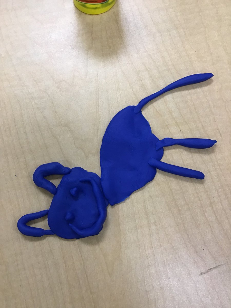 Pamela Sahingoz tweet media