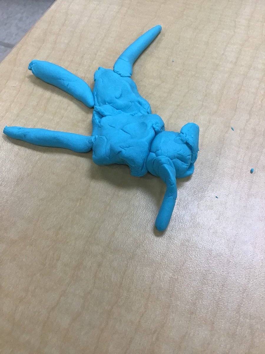 Pamela Sahingoz tweet media