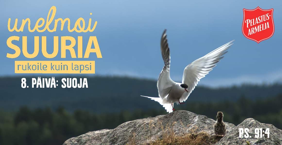 Nuoriso's tweet photo. Milloin tahansa sinua harmittaa, turhauttaa, masentaa tai kaipaat vain lohtua, voit tulla Jumalan luo. Hän suojelee sinua ja antaa suojapaikan, missä ikinä oletkaan. #unelmoisuuria #dreambig #rukoilekuinlapsi #praylikeachild https://t.co/58i1efpCM2