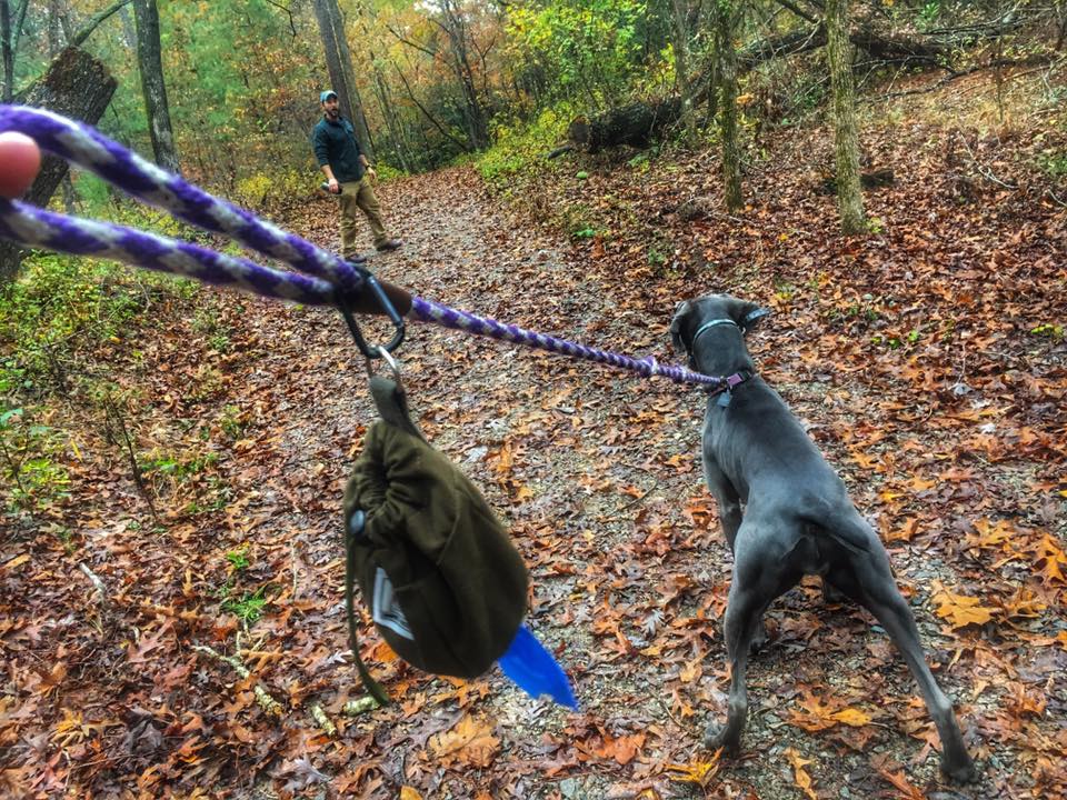 PoopiePocket's tweet photo. Walk in the Woods Wednesday! Make sure to leave no trace. Pack out your dogs load in the Poopie Pocket. Get yours now at https://t.co/1bVC8HiwR7 #walking #dogsoftwitter #walkingthewoodswednesday #poopiepocket #doglovers #outdoorfun https://t.co/lwP7drk9Ve
